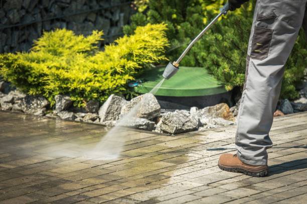 Best Sidewalk and Walkway Cleaning  in Mendenhall, MS