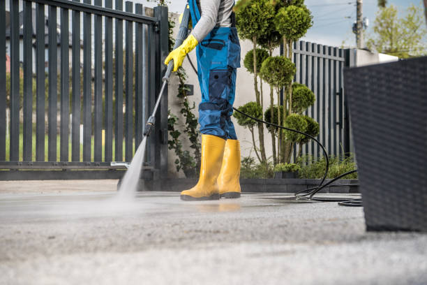 Professional  Pressure Washing Services in Mendenhall, MS